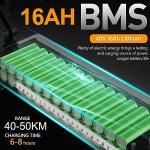 Powerful Electric Scooter with 10" Tire, 16Ah 500W