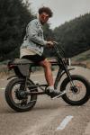 eBike Cruz73: 250w Fat Tire Electric Bike