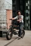 eBike Cruz73: 250w Fat Tire Electric Bike