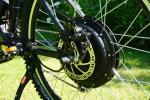 Carrera Vengeance Electric Mountain Bike - High Power