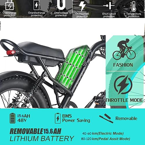 Electric Mountain Bike with Fat Tires, 48V LCD Display
