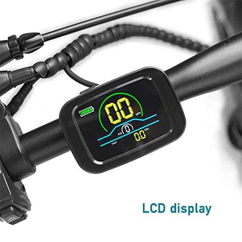 Electric Mountain Bike with Fat Tires, 48V LCD Display