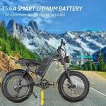 Electric Mountain Bike with Fat Tires, 48V LCD Display