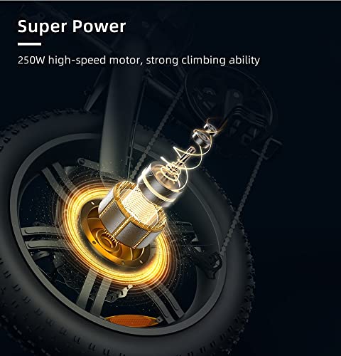 Folding E-Mountain Bike with Removable Battery