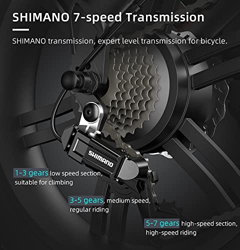 Folding E-Mountain Bike with Removable Battery