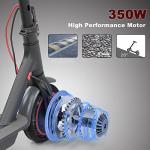 Electric Scooter, 350W Motor, Three Speed Modes