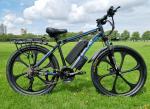 26" Electric Mountain Bike with 250W Motor - Magna