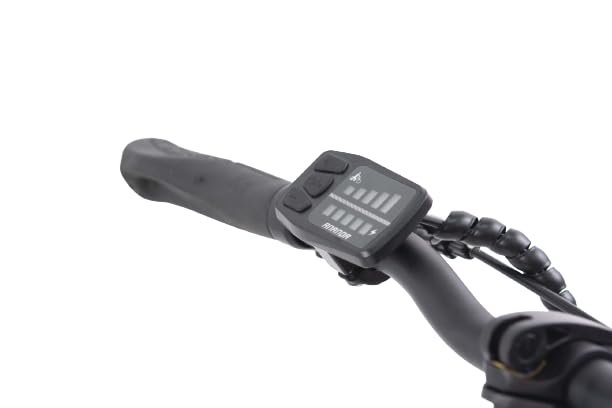 F.lli Schiano E-Sky 20" Foldable E-bike with 36V Battery