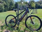 27.5" Mountain E-Bike with Pedal Assist & LED Display
