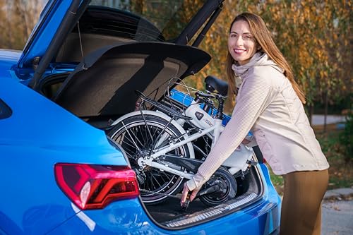F.lli Schiano E-Sky 20" Foldable E-bike with 36V Battery