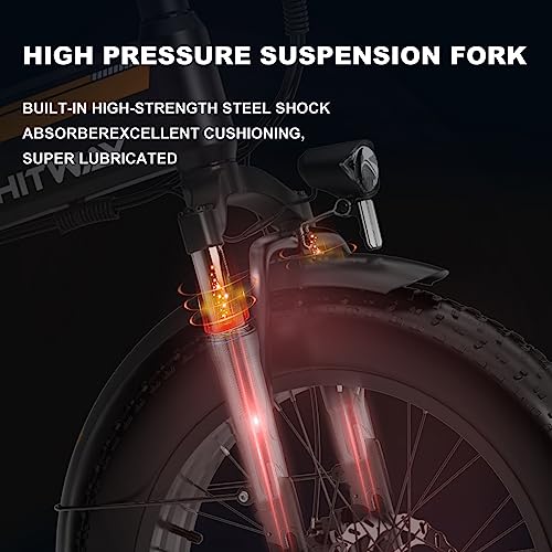 20" x4.0 Fat Tire Electric Bike for Adults