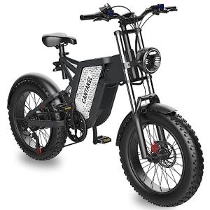 20" Fat Tire Off-Road Electric Bike with 48V Battery