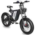 20" Fat Tire Off-Road Electric Bike with 48V Battery