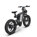 20" Fat Tire Off-Road Electric Bike with 48V Battery