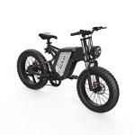 20" Fat Tire Off-Road Electric Bike with 48V Battery