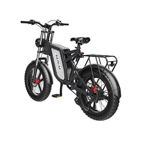 20" Fat Tire Off-Road Electric Bike with 48V Battery
