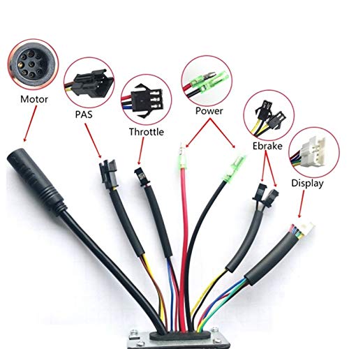 48V 250W Electric Bike Conversion Kit