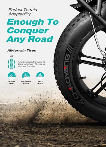 ENGWE Electric Bike Folding E-Bike for Adults