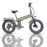 Paselec Folding Electric Mountain Bike - 250W, 48V/12Ah
