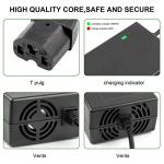 ARyee Electric Bike Battery Charger, 67.2V 135W