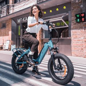 48V 500W Adult Electric Fat Tire E-bike