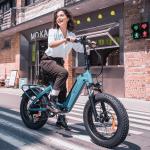 48V 500W Adult Electric Fat Tire E-bike
