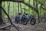 48V 500W Adult Electric Fat Tire E-bike
