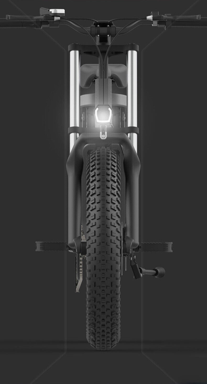 26" Electric Bike 1000W Motor Fat Tire E-City Bike