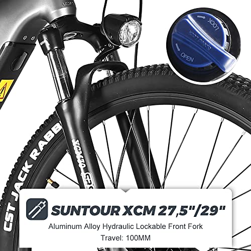 Cola Bear Mountain E-bike with Mid-Drive Motor