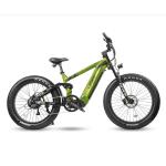 Cyrusher 52V E-Bike: All Terrian Fat Tire MTB