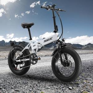 PASELEC 250W Folding Electric Fat Tire Bike