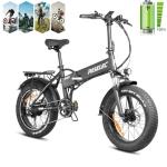 PASELEC 250W Fat Tire Electric Folding Bike