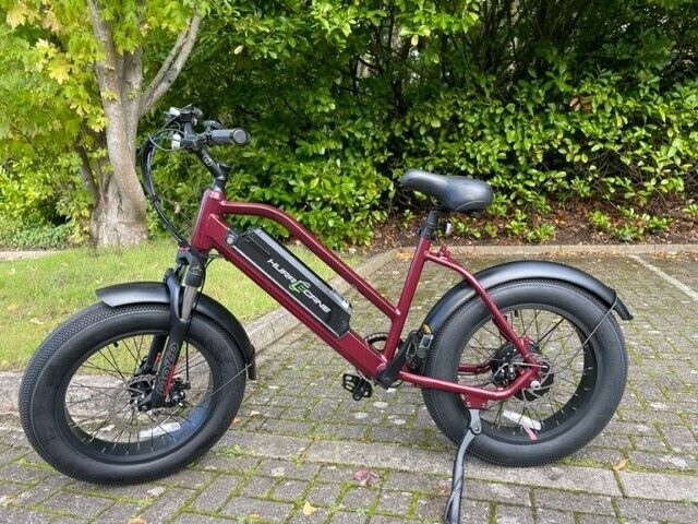 20'' Fat Tyre Electric Bike, 36V 13AH Lithium Battery