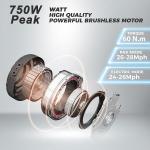 PASELEC 250W Fat Tire Electric Folding Bike