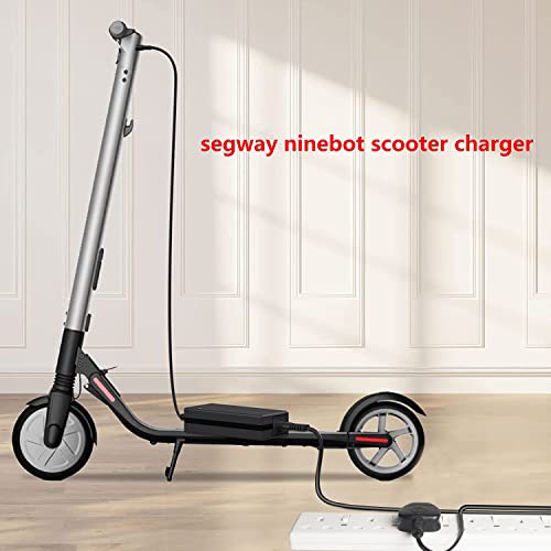 Electric scooter charger for various models