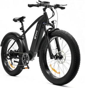 DYU Mountain E-Bike: 80 Mile Long Range, 750W