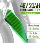 DYU Mountain E-Bike: 80 Mile Long Range, 750W