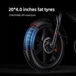 ENGWE 250W Electric Bike-Foldable, 20"×4.0", Off-Road Tyres (Black)
