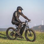 DYU Mountain E-Bike: 80 Mile Long Range, 750W