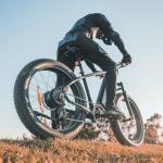 DYU Mountain E-Bike: 80 Mile Long Range, 750W