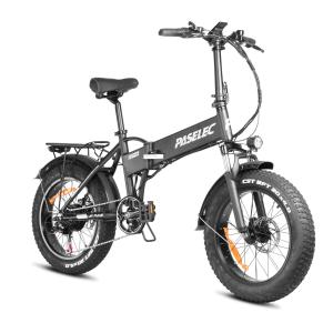 250W Fat Tire Folding Electric Commuter Bike 20inch