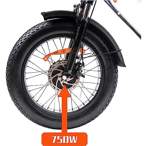 Electric Tricycle Fat Tire Adult Cargo Bike