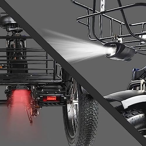Electric Tricycle Fat Tire Adult Cargo Bike