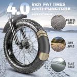 250W Fat Tire Folding Electric Commuter Bike 20inch
