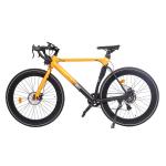 700C E-Bike 250W 36V Electric Road Bicycle