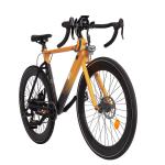 700C E-Bike 250W 36V Electric Road Bicycle