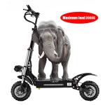 Fast Off Road Electric Scooter with Dual Suspension