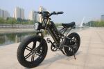 2023 48V 17.5AH Electric Bike - City Commute