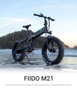 FIIDO M21 Folding Electric Bike - 20" Fat Tire