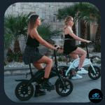 DYU D3F Electric E-Bike 14" 250W 36V 10Ah